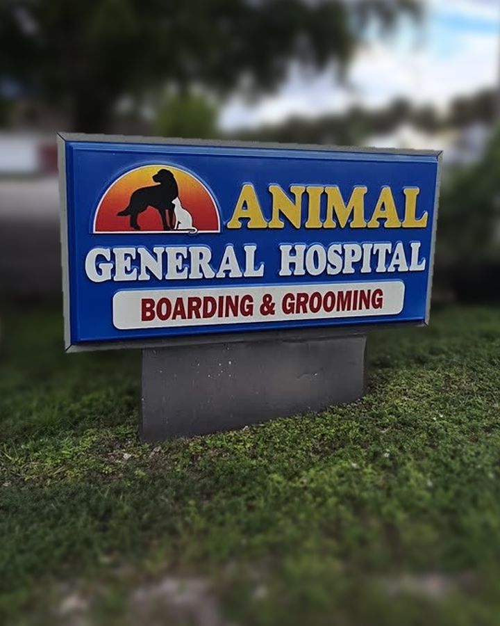 Animal General Hospital street sign reading Boarding & Grooming, outside our hospital at 7390 NW 74th St in Medley