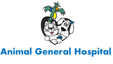 Logo For Animal General Hospital, Serving: Miami Medley Miami Springs Hialeah Doral